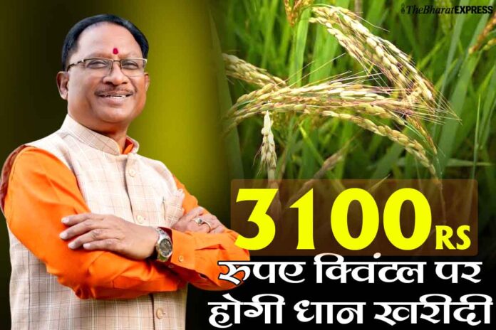 Paddy will be purchased at Rs 3100 per quintal